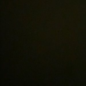 Meet your Posher, Cheyenne